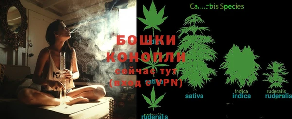 трава Беломорск