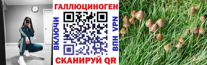 Псилоцибиновые грибы GOLDEN TEACHER  Купить где  Лесной 